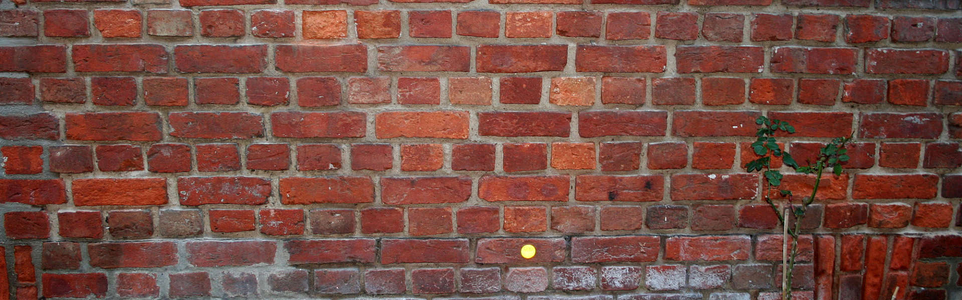 Aqua Protect - vochtprobleem oplossen